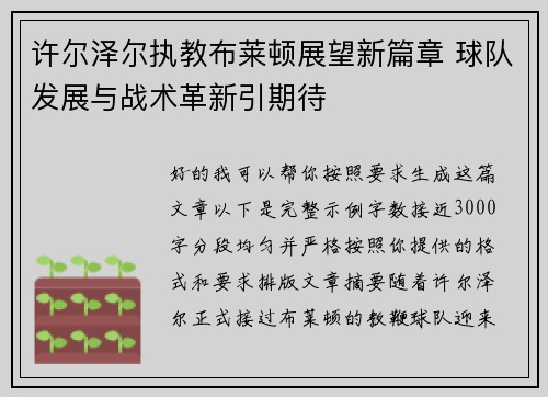 许尔泽尔执教布莱顿展望新篇章 球队发展与战术革新引期待