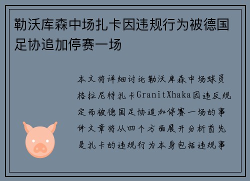 勒沃库森中场扎卡因违规行为被德国足协追加停赛一场